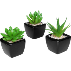 Set of 3 Modern Home Decor Mini Succulent Artificial Plants